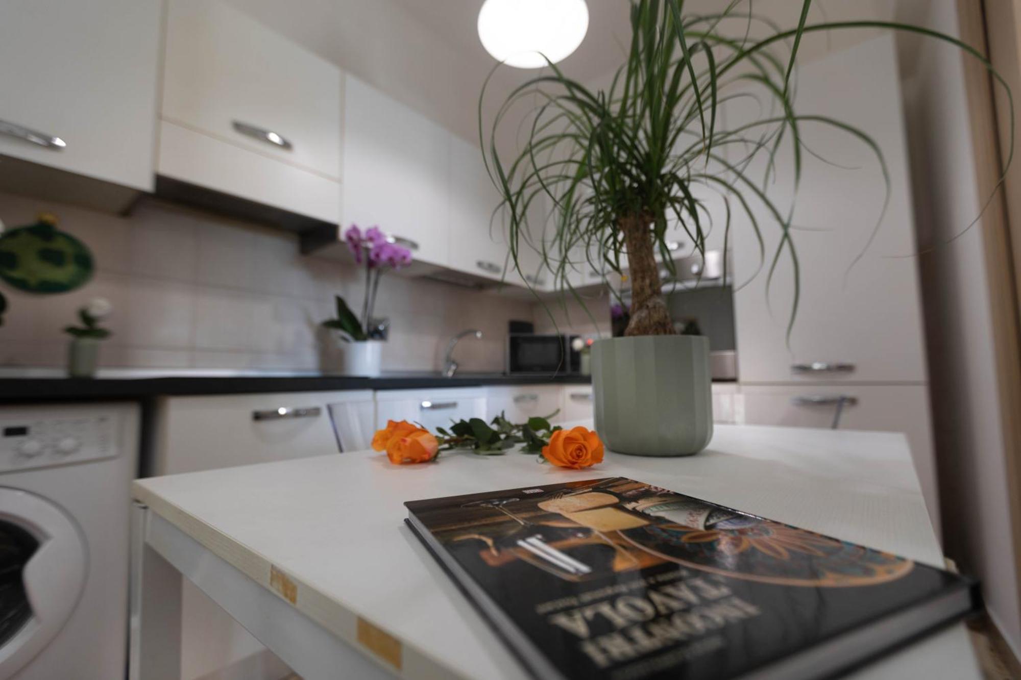 Oasis Apartamento *