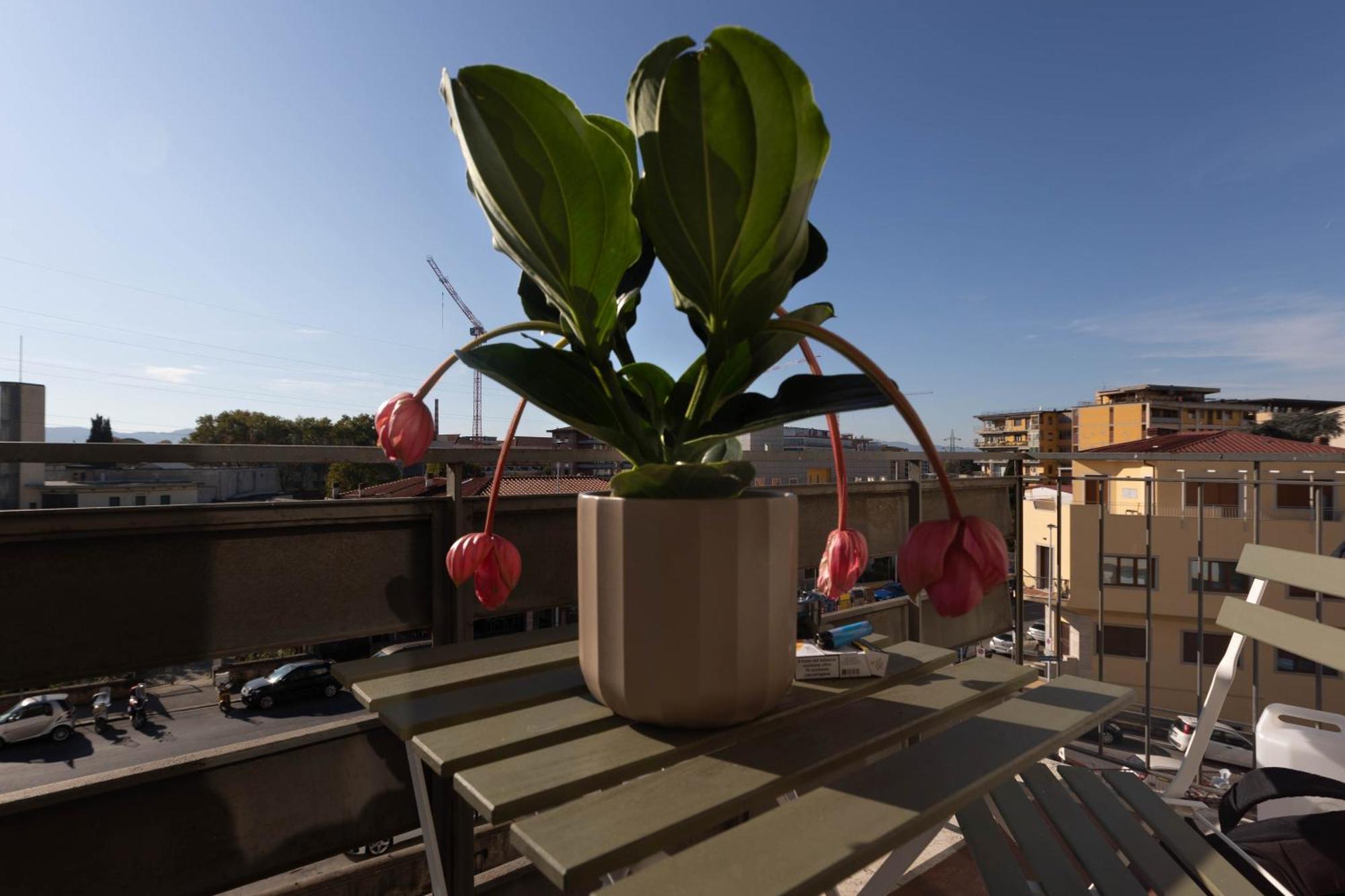 Apartamento Oasis *
