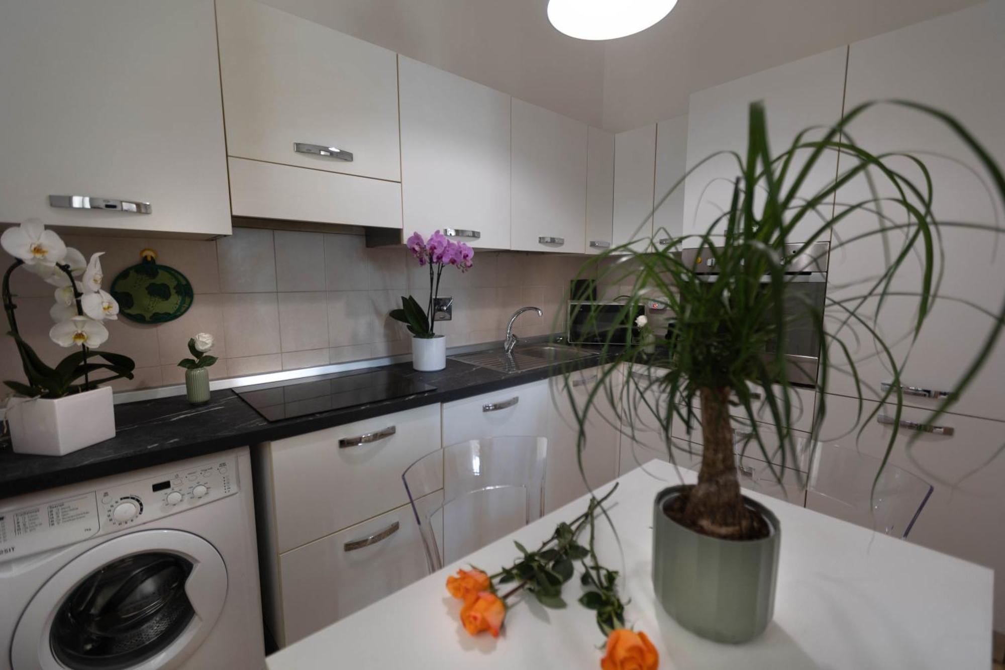 Oasis Florencia